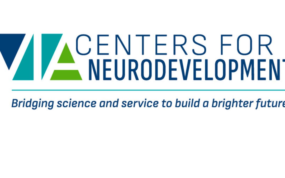 Building Bridges to Better Address Neurodevelopment in Virginia